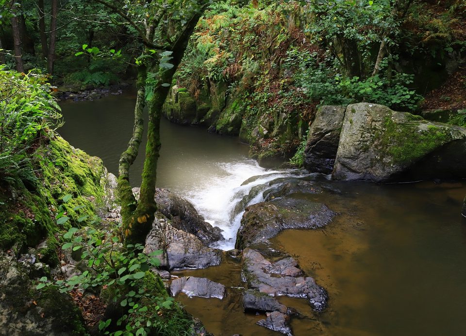 La Fosse Arthour, Espace Naturel Sensible de l'Orne