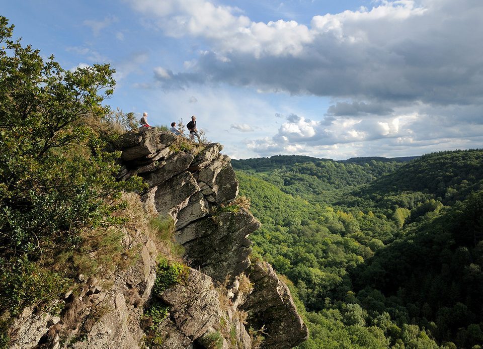 Parcours botanique à la Roche d'Oëtre en Suisse Normande