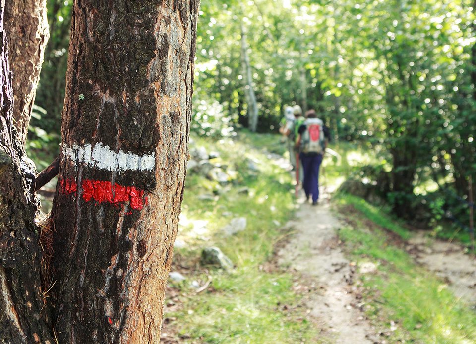 Berjou de haut en bas - Randonnée à pied en Suisse Normande