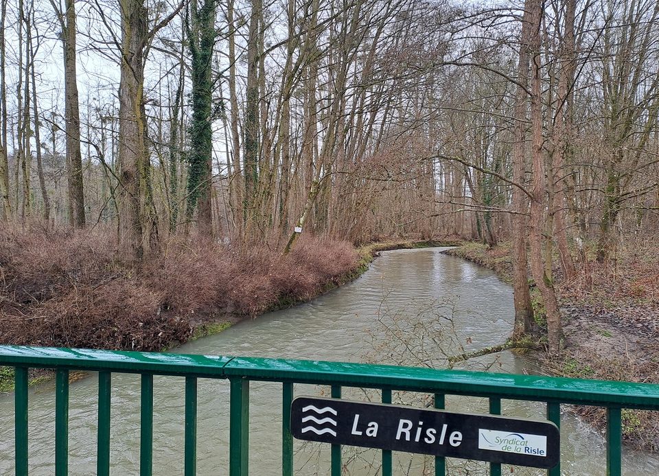 La Risle à Saint-Martin-d'Ecublei