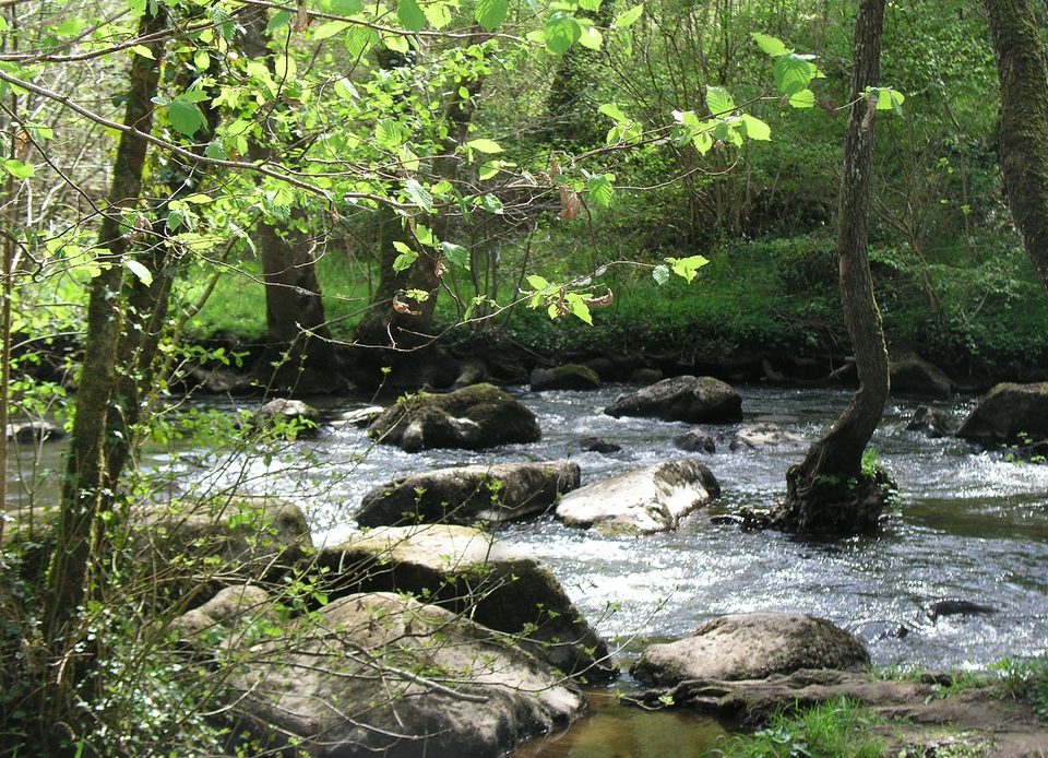 Le Chant des Cailloux - Randonnée à pied en Suisse Normande