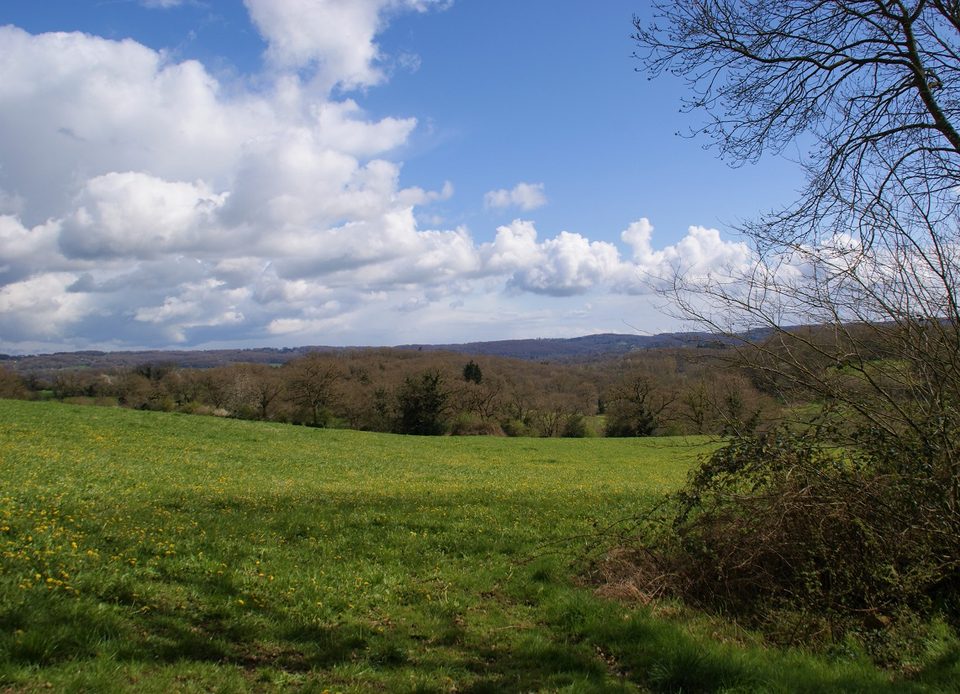 Paysage préservé du Bocage, Suisse Normande
