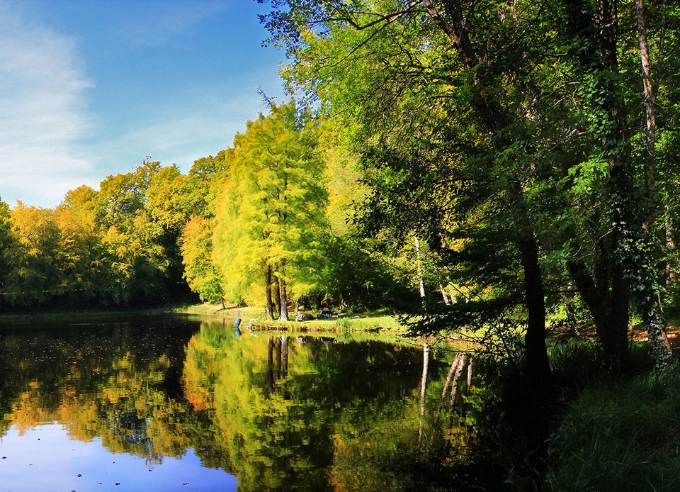La Herse, Forêt de Bellême dans le Perche