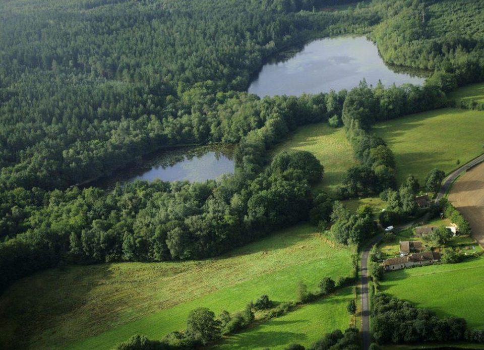 Etangs du gré à Bresolettes