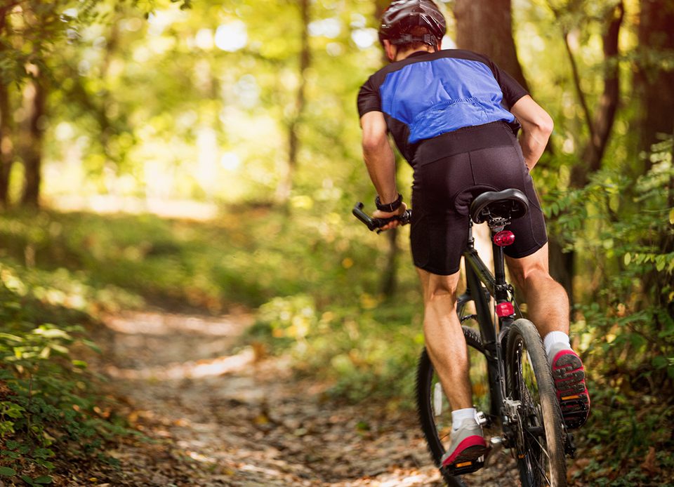 A VTT Vue sur le Perche