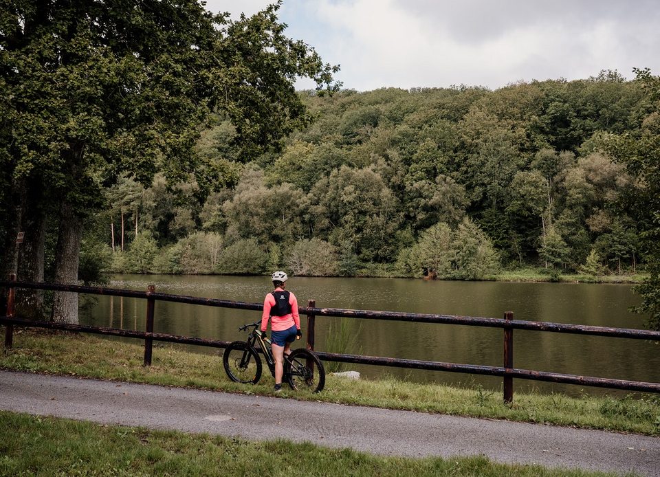 Etang, Tourouvre-au-Perche