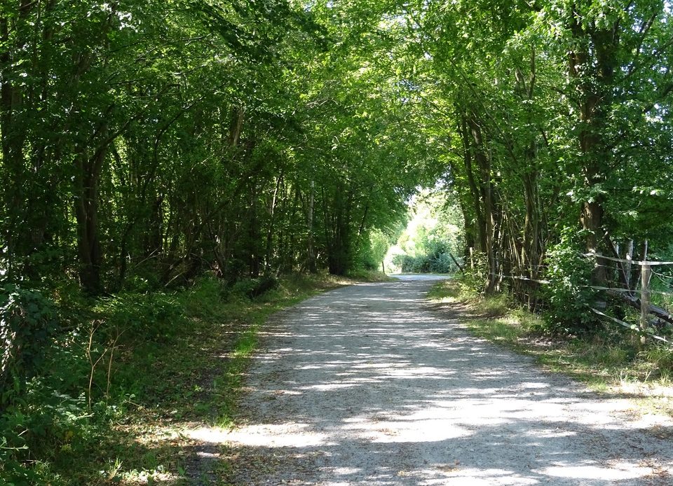 Voie verte de la Risle : de l'Aigle à Saint-Sulpice-sur-Risle