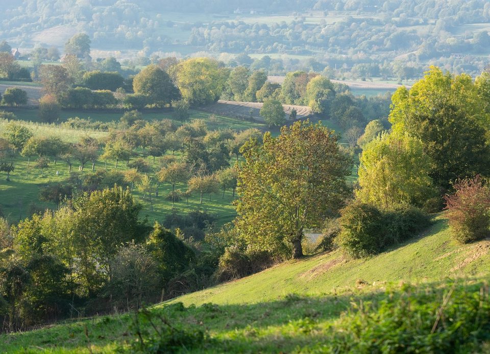 Vimer - Randonnée à pied dans le Pays d'Auge