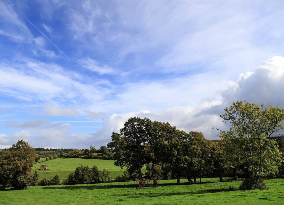 Vue sur le Pays d'Auge Ornais