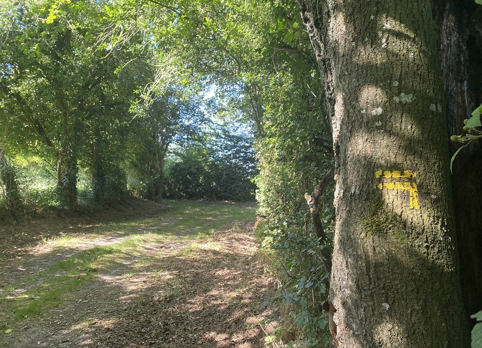 Des sources de la vie - Randonnée à pied en Pays d'Auge