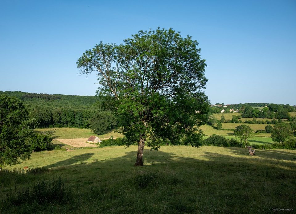 La Corbonasière - Randonnée à pied dans le Perche Ornais