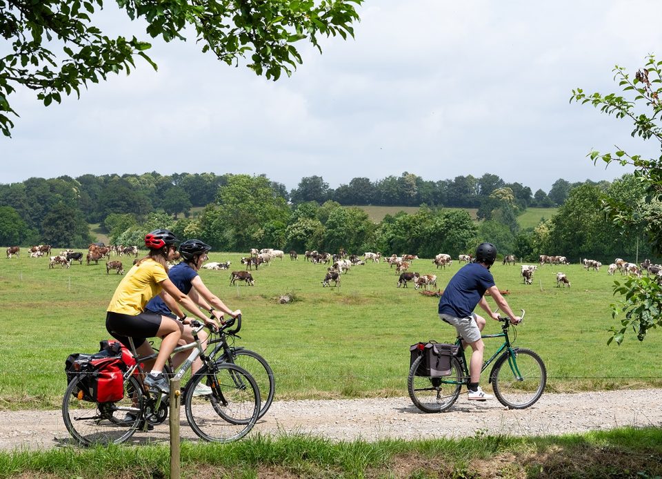 Le Bocage Ornais à vélo