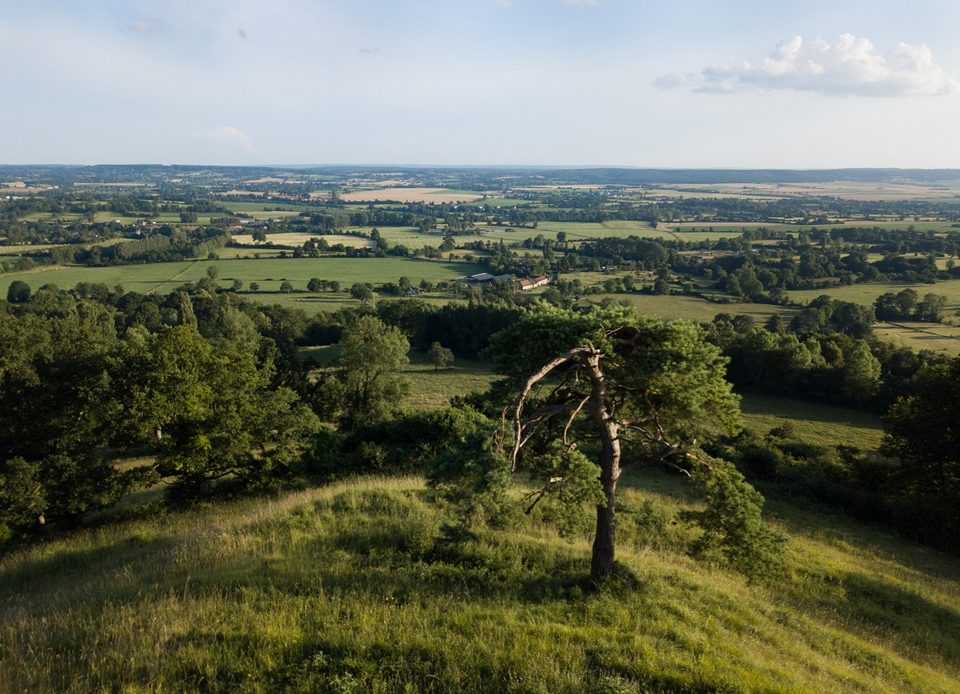 Coteaux historiques, Orne