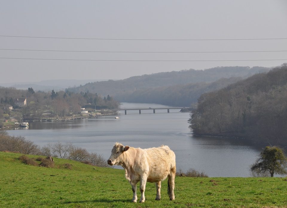 Lac de Rabodanges, Orne