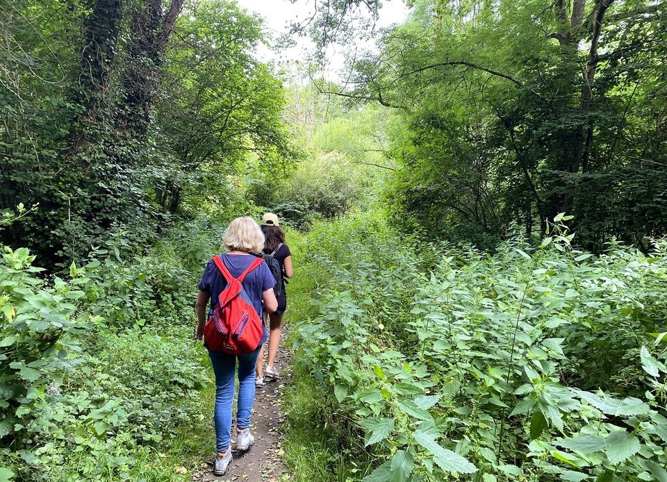 Boucle d'Avoine, Pays d'Argentan - Randonnée à pied