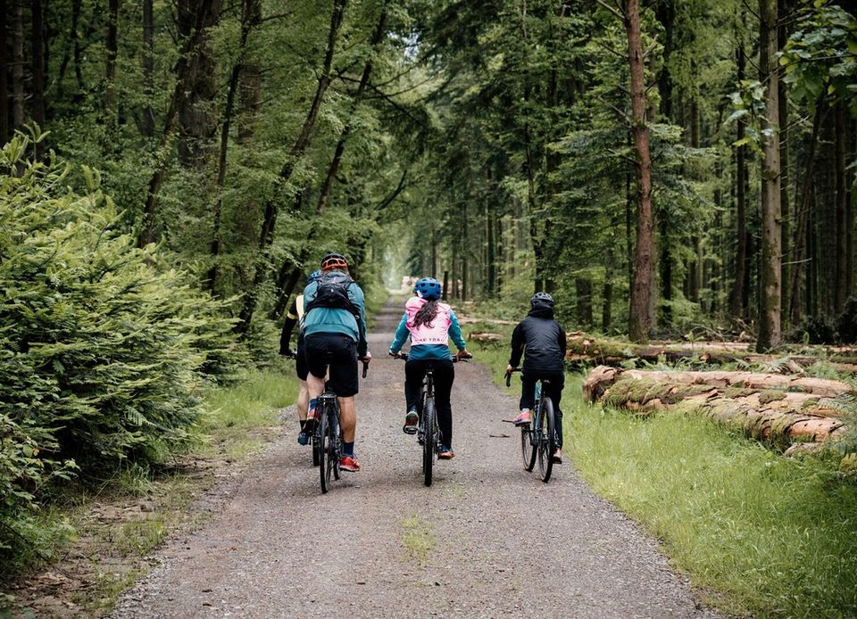 36 Les Monts d'Andaine - Parcours gravel