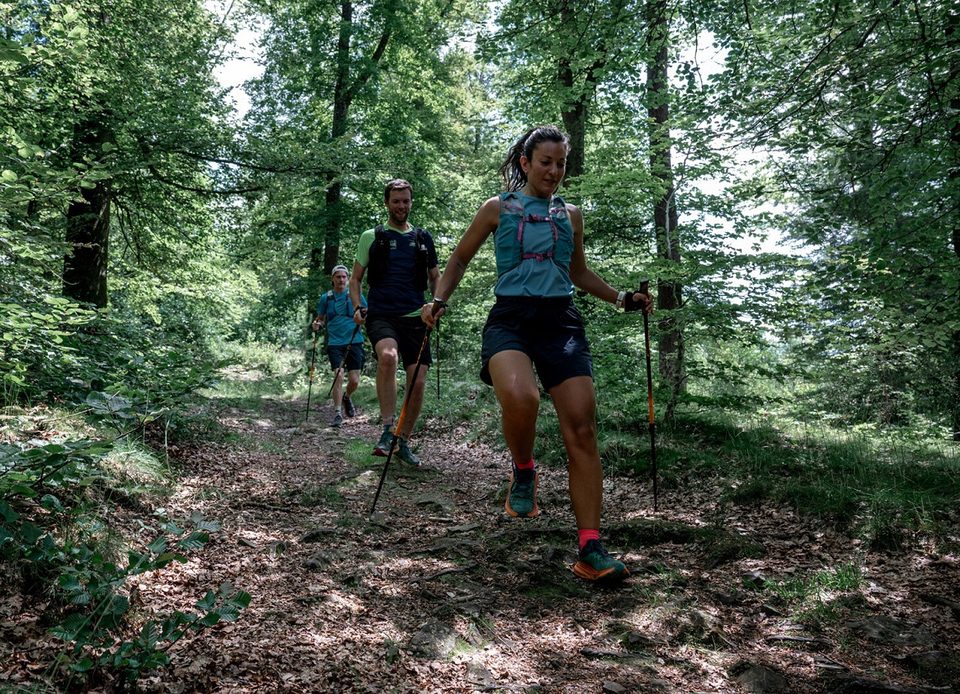 Marche Nordique en forêt des Andaines, dans l'Orne