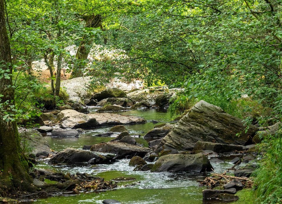 La Fosse Arthour, Espace Naturel Sensible