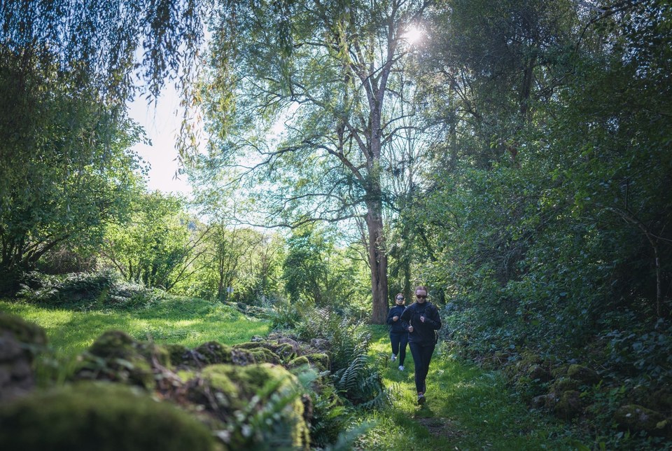 15 La Forêt-Auvray - Suisse Normande Trail