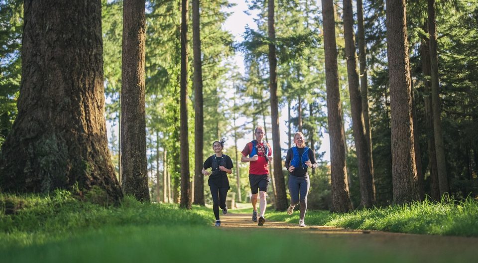 Trail au Mont de Cerisy dans l'Orne