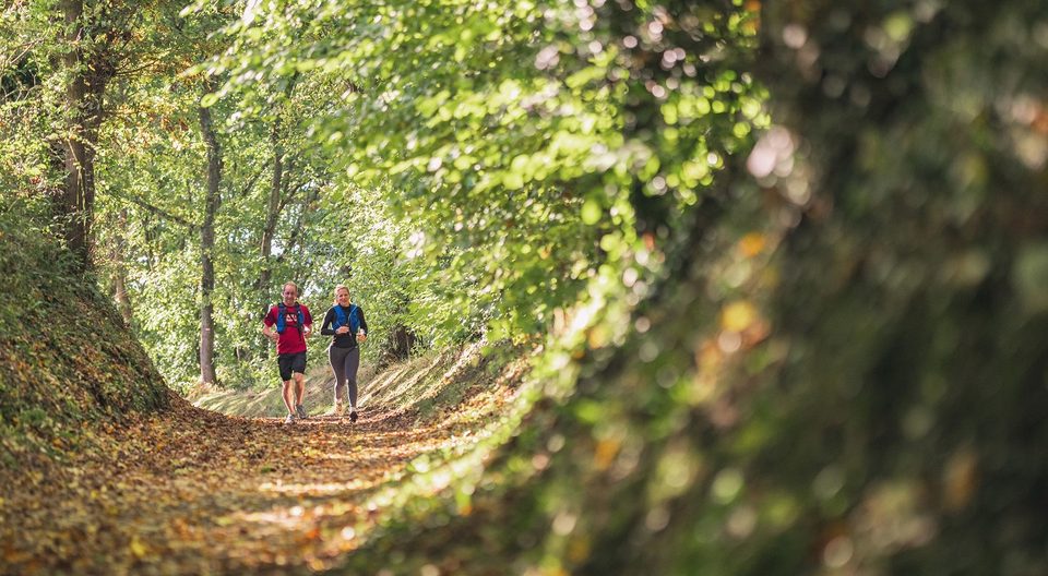 Trail dans les chemins creux de Montilly-sur-Noireau