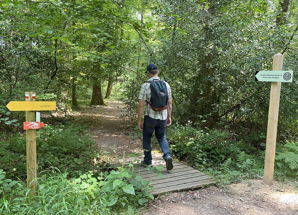 Sentier de découverte de la pierre des Druides - Le Perche