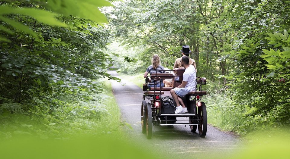 Balade en attelage dans le Perche, avec To Biguine