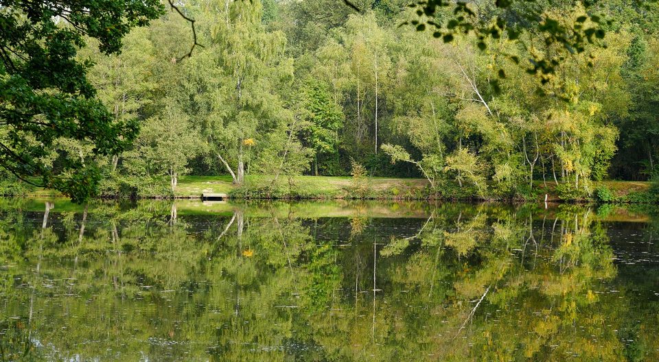 Etang de la Fosse Arthour
