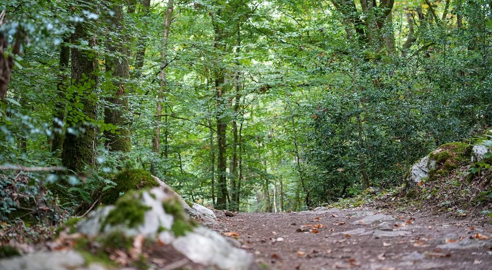 Sentier, La Fosse Arthour