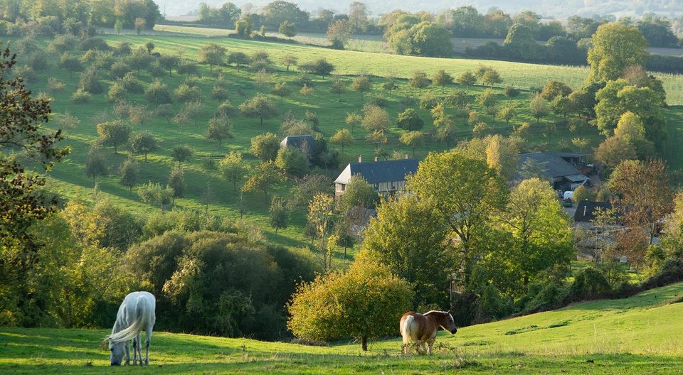 La Galotière - Pays d'Auge en Normandie