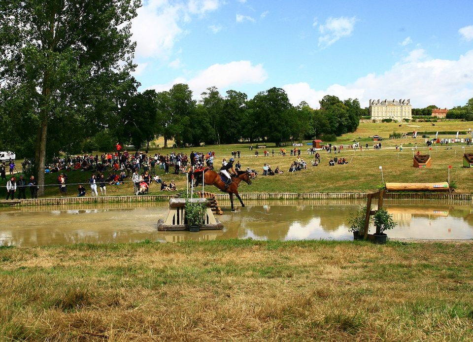 Grand complet du Haras du Pin, dans l'Orne