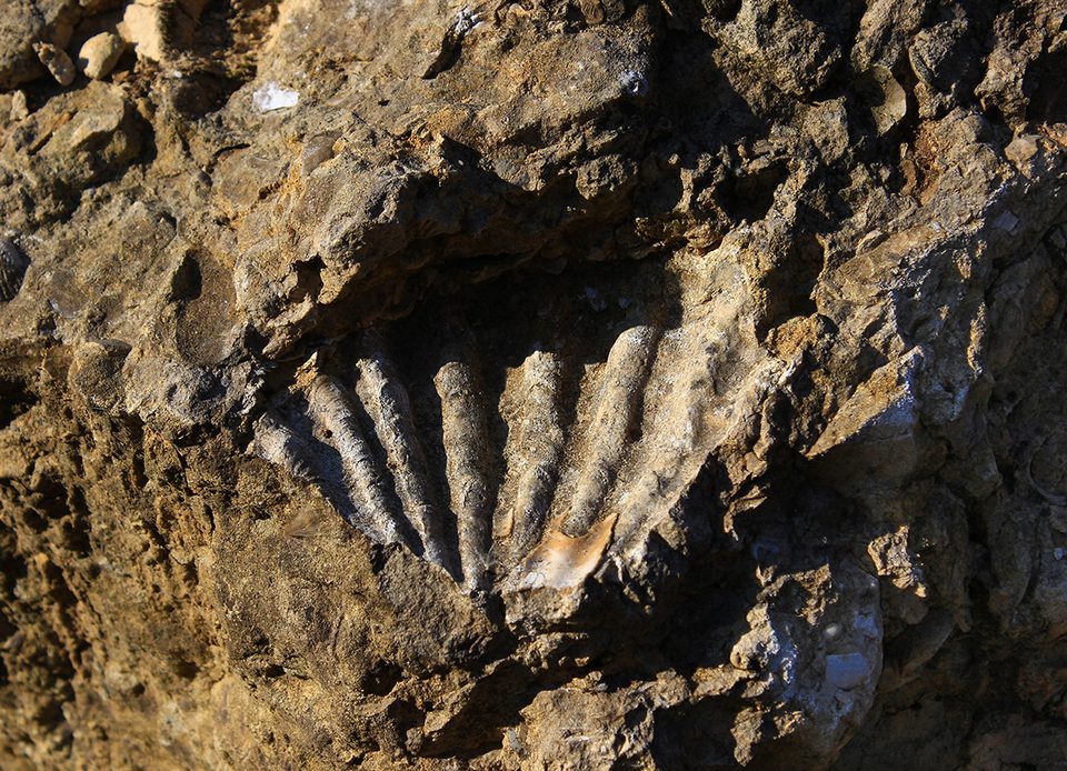 Les carrières des Monts et Sablonettes