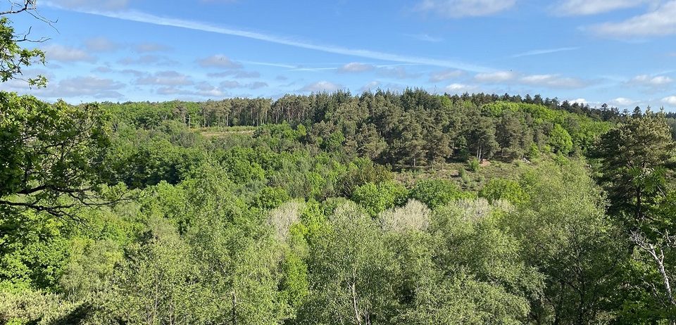 Sentier des Gorges de Villiers