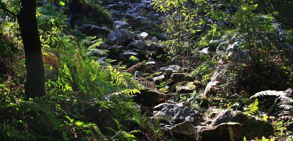 Gorges de Villiers, Orne