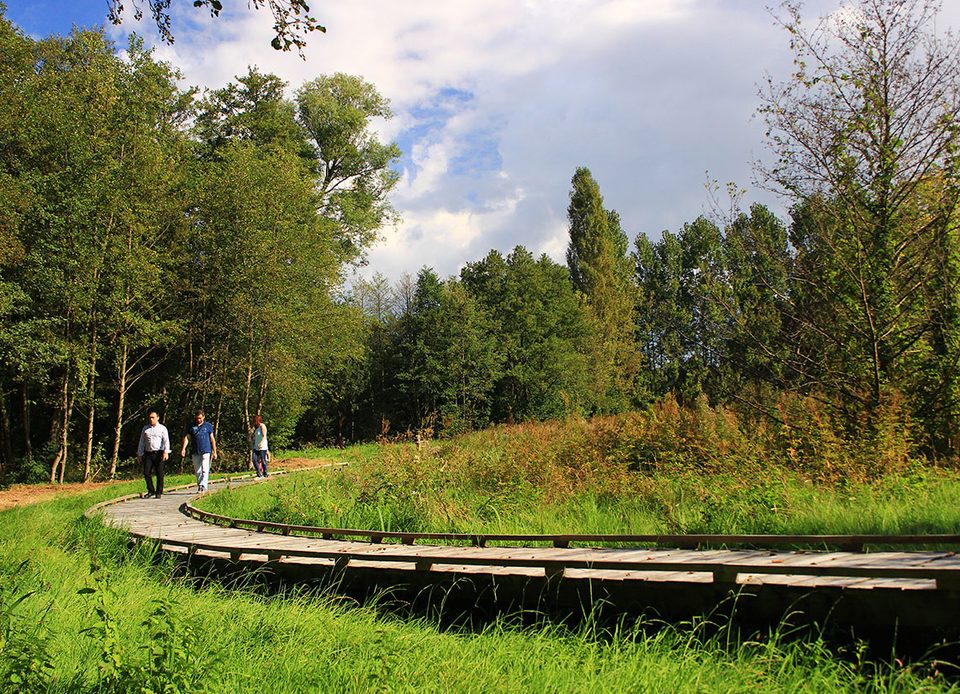 Sentier des Vallées et marais de Bretoncelles