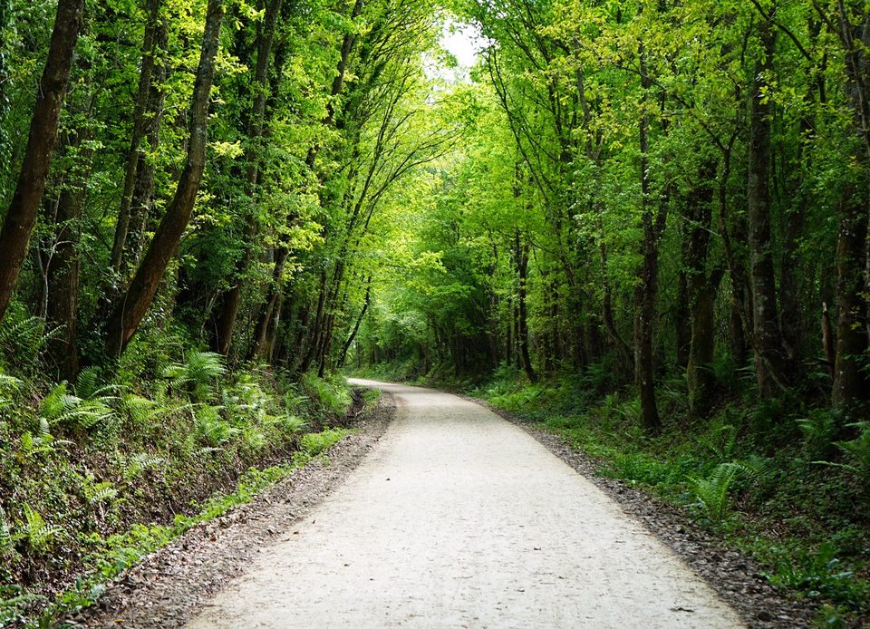 Voie verte Briouze - Bagnoles de l'Orne Normandie