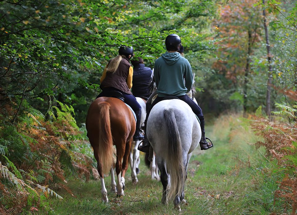 Circuit de la Roche d'Oëtre - La Suisse Normande à Cheval