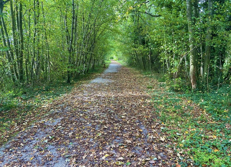 Voie Verte : Vimoutiers à Livarot