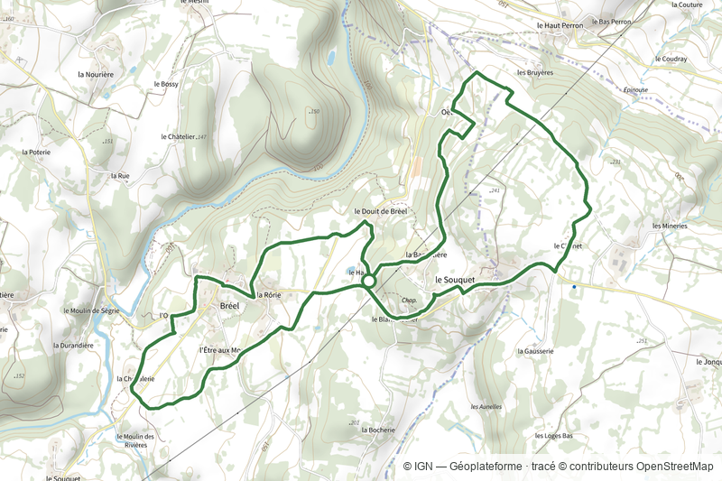Parcours Botanique