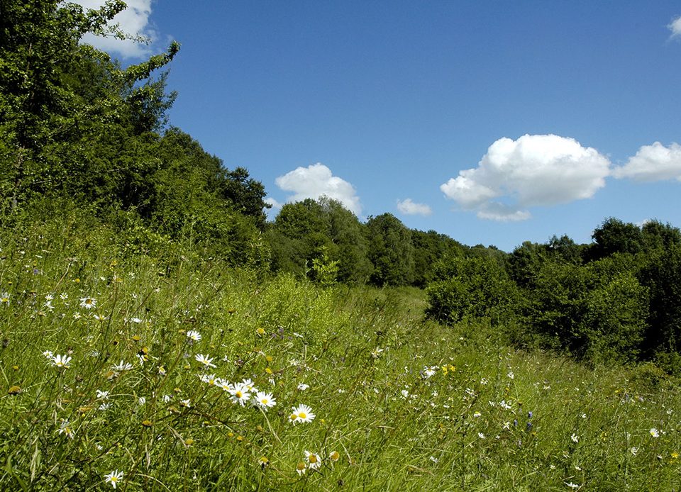 Sentier du Coteau de la butte