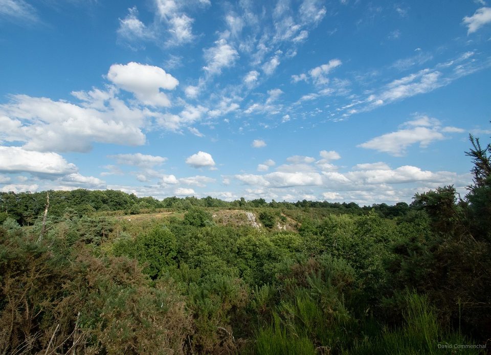Sentier du Vaudobin
