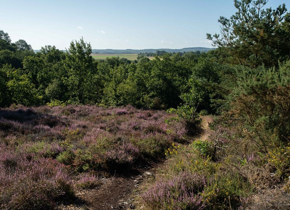 Le Vaudobin, Espace Naturel Sensible de l'Orne en Normandie