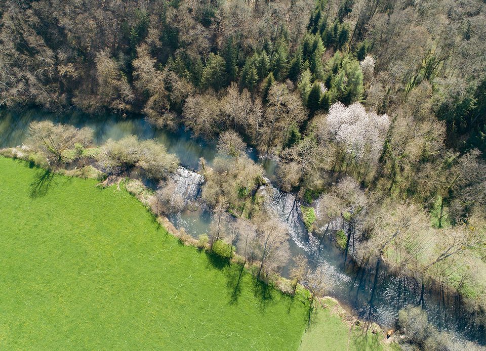 Sentier Les Méandres de l'Orne : Au fil de l’Eau, Notre-Dame-de-la-Pitié