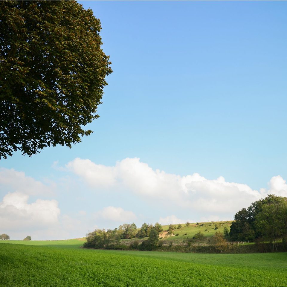 La Promenade Verte