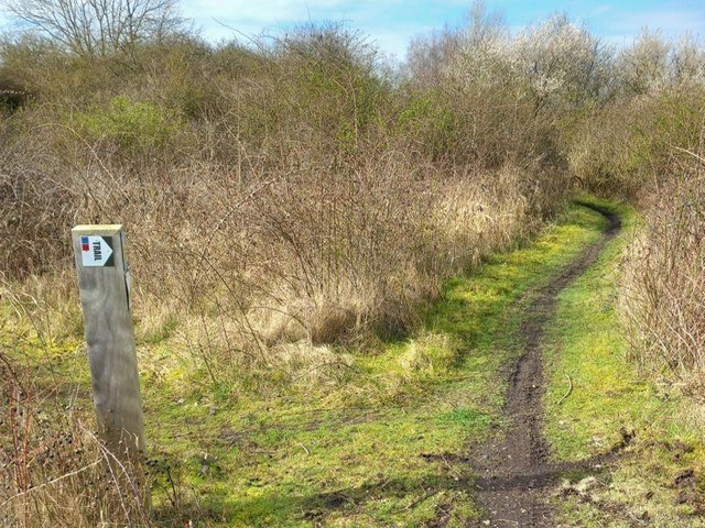 Espace Trail Liévin - Parcours bleu N°11