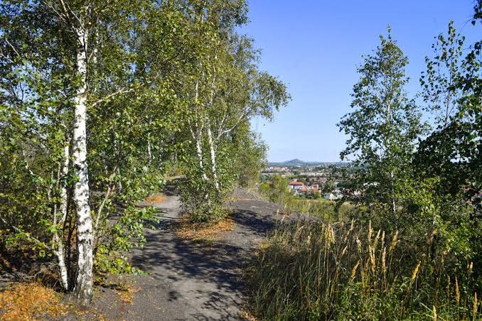 Espace Trail Liévin - Parcours vert N°10