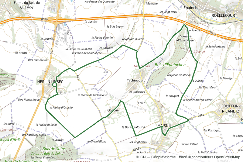 Le Vert Tilleul