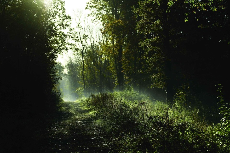 Les Baudets