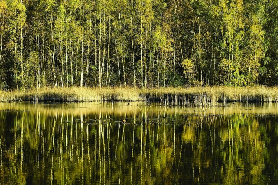 La Fontaine Bénie