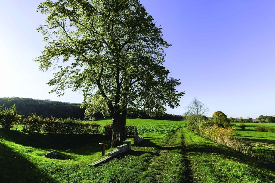 Le Saint-Ranulphe